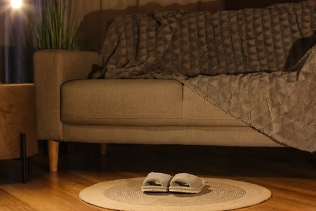 Female soft slippers on rug near sofa at homeの写真素材