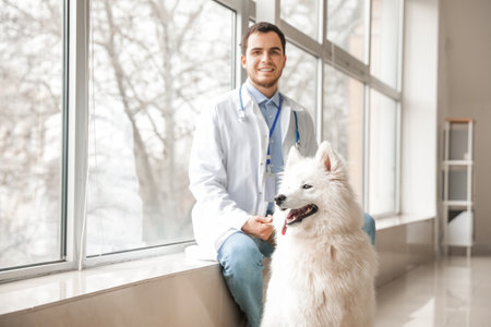 Veterinarian with cute dog in clinicの写真素材
