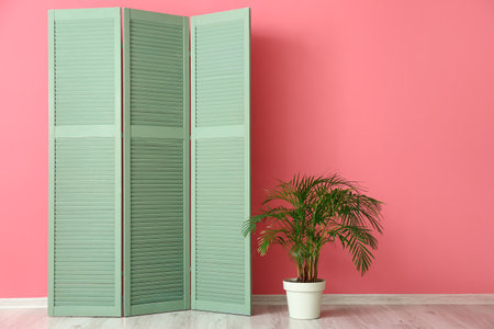 Modern folding screen and houseplant near color wallの写真素材