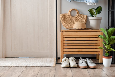 Interior of stylish hallway with soft rugの写真素材