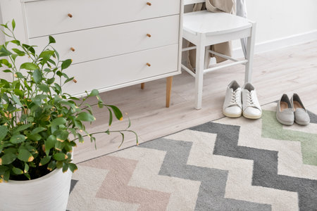 Stylish rug in interior of modern hallwayの写真素材