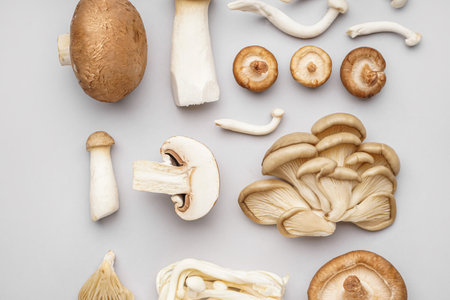 Composition with different fresh mushrooms on light backgroundの写真素材
