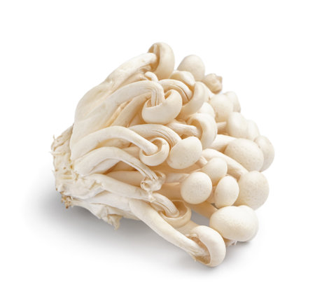 Bunch of fresh enoki mushrooms on white backgroundの写真素材
