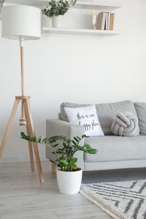 Stylish gray sofa with lamp and houseplant in modern interior of living room
