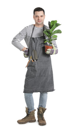 Young male gardener on white backgroundの写真素材