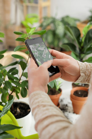 Young man taking photo of plant at homeの写真素材