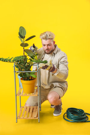 Young male gardener on color backgroundの写真素材