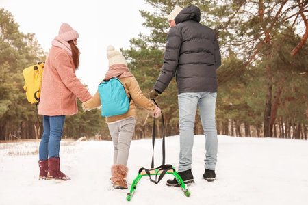 Happy family sledging in park on winter dayの写真素材