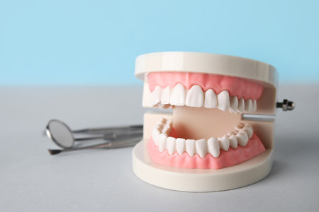 Jaw model with dental tools on table against blue background, closeupの写真素材