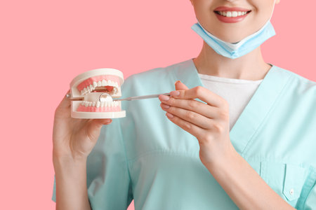 Female dentist with plastic jaw model on color backgroundの写真素材