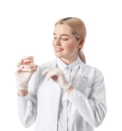 Female dentist with plastic jaw model on white background