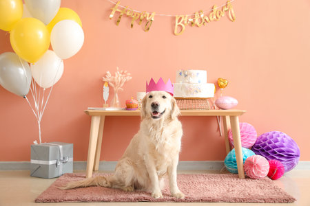 Adorable dog celebrating birthday at homeの写真素材