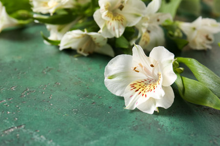 Beautiful alstroemeria flowers on green background, closeupの写真素材