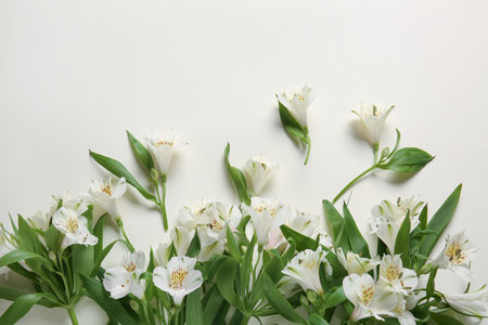 Composition with delicate alstroemeria flowers on white backgroundの写真素材