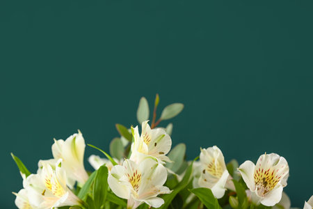 Delicate alstroemeria flowers on color background, closeupの写真素材
