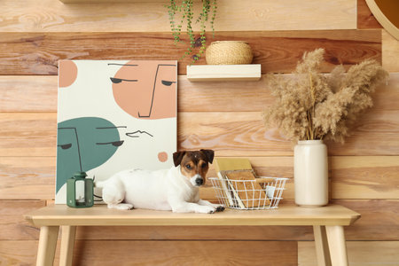 Cute dog on table near wooden wallの写真素材