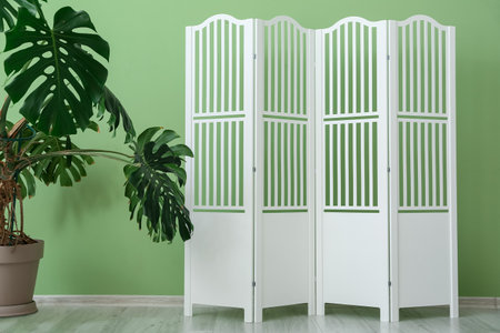 Modern folding screen and houseplant near color wallの写真素材