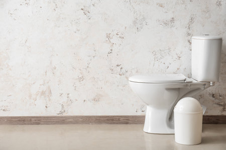 Ceramic toilet bowl and bin near light wall