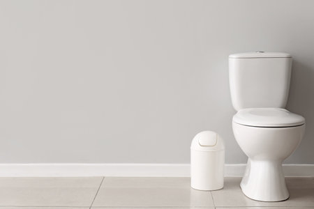 Ceramic toilet bowl and bin near gray wallの写真素材
