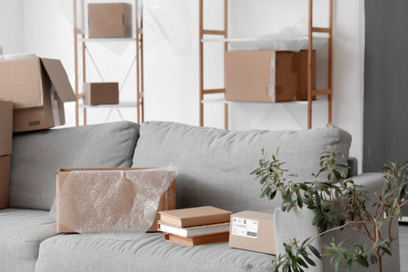 Sofa with cardboard boxes and books in living room on moving dayの写真素材