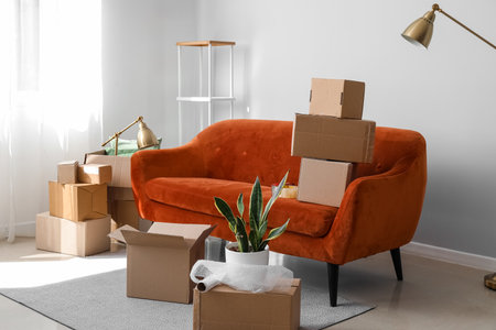 Cardboard boxes with red sofa in living room on moving dayの写真素材
