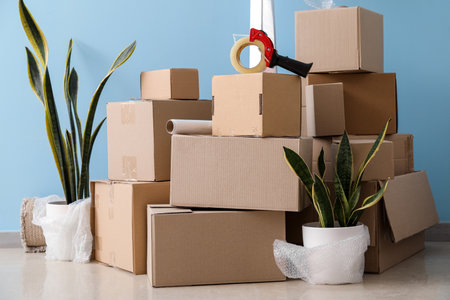 Moving cardboard boxes with adhesive tape and houseplants near blue wall