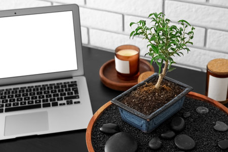 Stand with Bonsai tree, spa stones, candles and laptop on table near white brick wallの写真素材