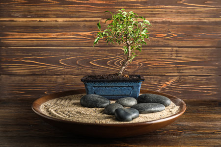Plate with Bonsai tree, spa stones and sand on dark wooden backgroundの写真素材