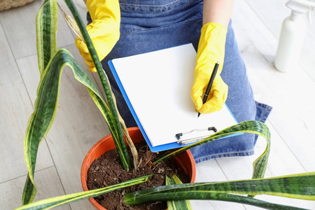 Woman with wilted houseplant writing in clipboard at home, closeupの写真素材