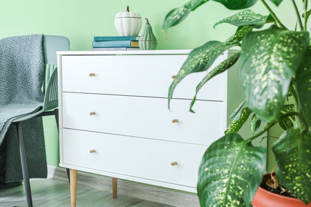 Interior of stylish living room with modern chest of drawers and houseplantの写真素材