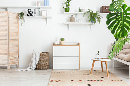 Modern living room with chest of drawersの写真素材