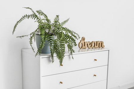 Modern chest of drawers with houseplant near light wall in roomの写真素材