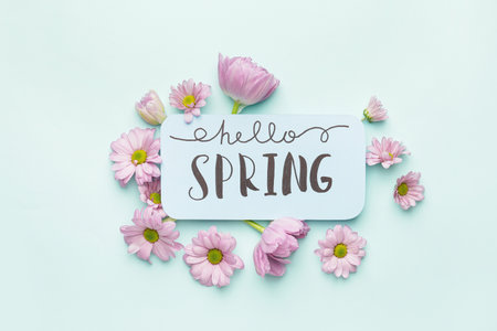 Beautiful flowers and card with text HELLO SPRING on color backgroundの写真素材