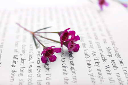 Book with fresh flowers, closeup