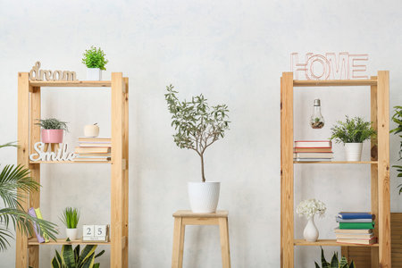 Shelf units with books and houseplants near light wallの写真素材