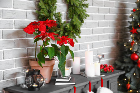 Poinsettia on fireplace decorated for Christmasの写真素材