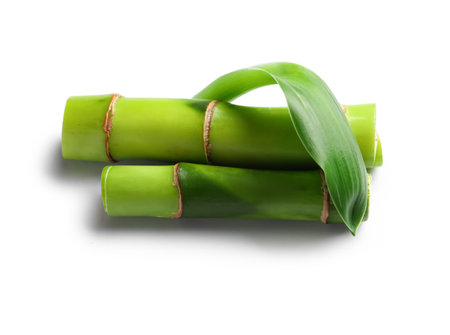 Green branches of bamboo isolated on white backgroundの写真素材