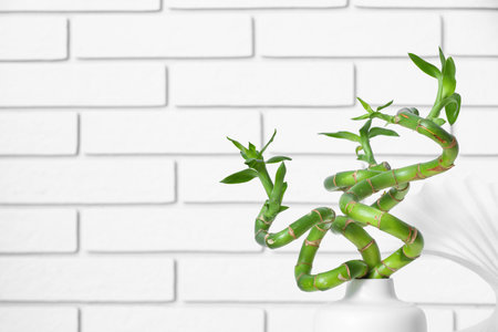 Vase with bamboo branches against light brick wallの写真素材