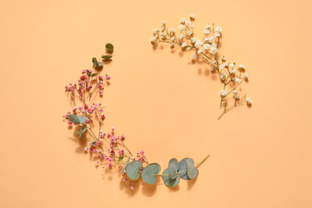 Composition with beautiful gypsophila flowers and eucalyptus branches on color background