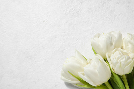Bouquet of beautiful tulip flowers on light backgroundの写真素材