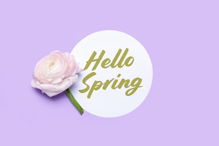 Card with text HELLO SPRING and beautiful ranunculus flower on color background