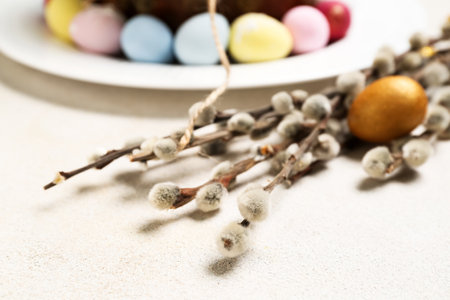 Willow branches and Easter eggs on light table, closeupの写真素材