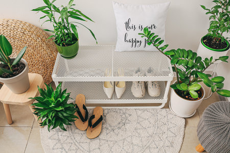 Stand with shoes in modern hallの写真素材