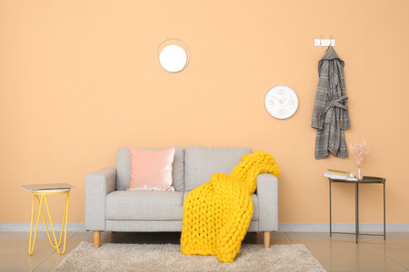 Stylish sofa with knitted plaid near color wall in room
