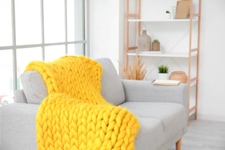 Interior of modern room with sofa and knitted plaidの写真素材