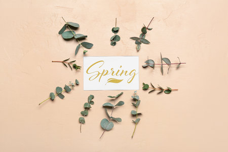 Card with word SPRING and eucalyptus branches on color background