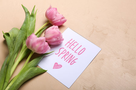 Card with text HELLO SPRING and beautiful tulip flowers on color backgroundの写真素材