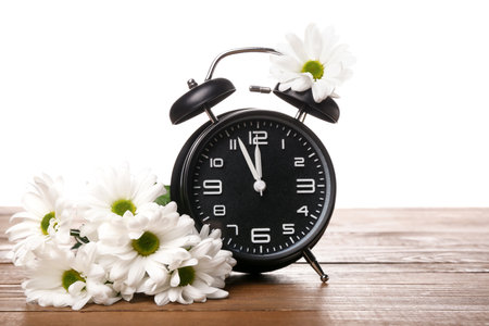 Beautiful chamomile flowers and alarm clock on wooden table against white background