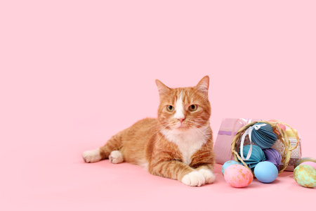 Cute cat with Easter eggs and gifts on pink backgroundの写真素材