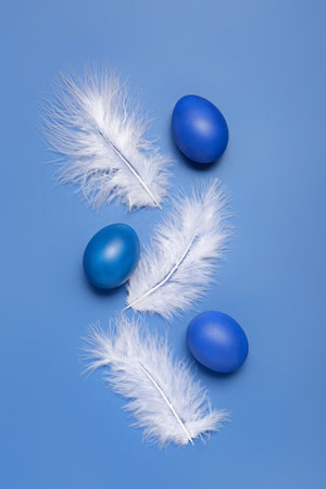 Composition with painted Easter egg and feathers on blue backgroundの写真素材